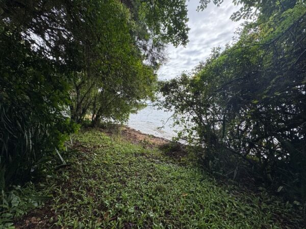 Terreno Residencial à Venda | Lagoa da Conceição | Florianópolis | TE0004_MMQ - Imagem 8