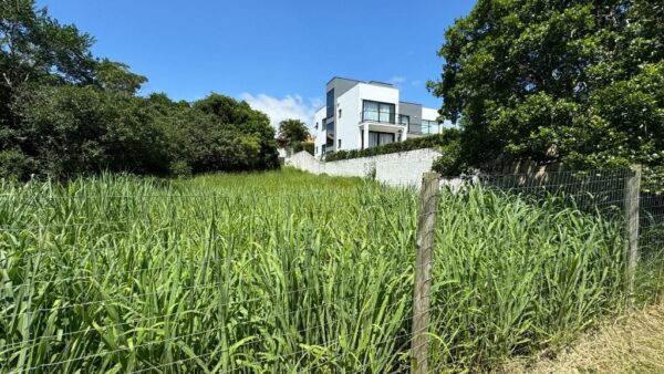 Terreno Residencial à Venda | Rio Tavares | Florianópolis | TE0044_MMQ - Imagem 8