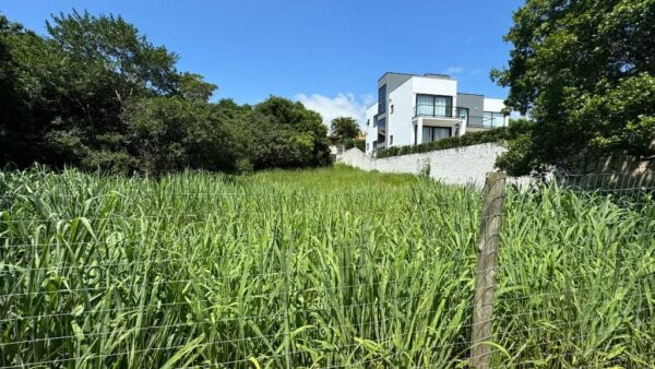 Terreno Residencial à Venda | Rio Tavares | Florianópolis | TE0044_MMQ - Imagem 7