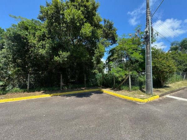 Terreno Residencial à Venda | Rio Tavares | Florianópolis | TE0044_MMQ - Imagem 6