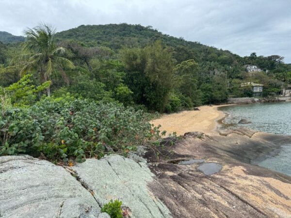 Terreno Residencial à Venda | Ribeirão da Ilha | Florianópolis | TE0011_MMQ - Imagem 2