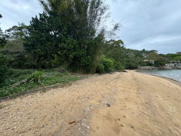 Terreno Residencial à Venda | Ribeirão da Ilha | Florianópolis | TE0011_MMQ - Imagem 7