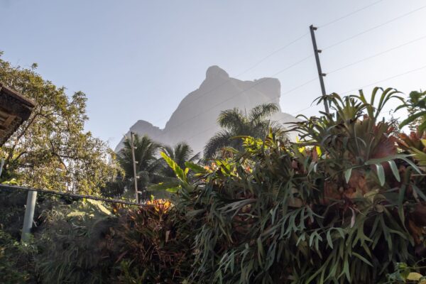 Casa Residencial à Venda | São Conrado | Rio de Janeiro | CA0661_MMQ - Imagem 3