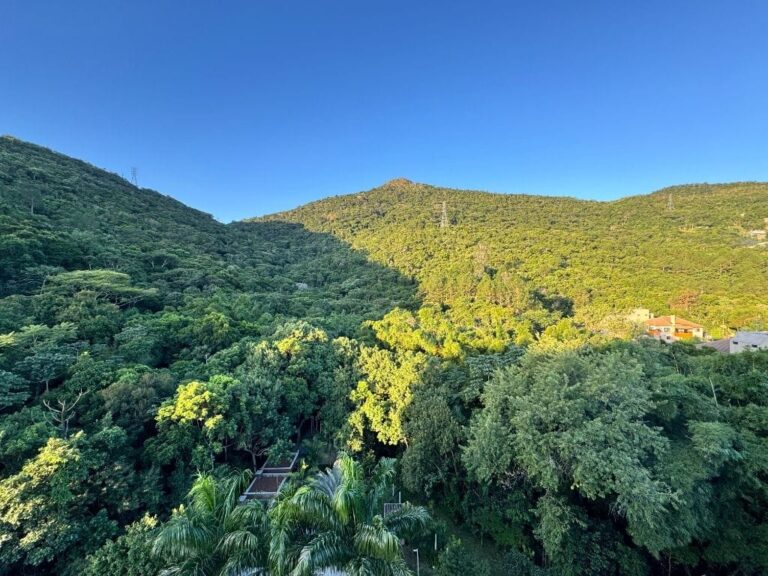 Apartamento Residencial à Venda | Saco Grande | Florianópolis | AP2804_MMQ