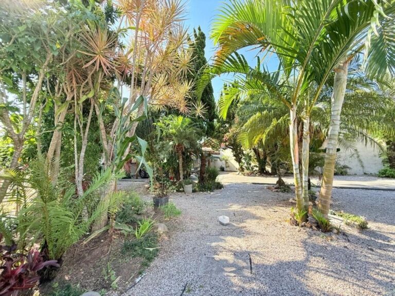 Casa Residencial à Venda | Serraria | São José | CA0685_MMQ