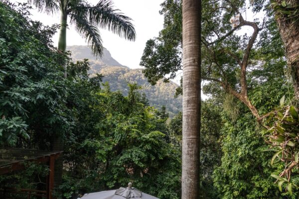 Casa Residencial à Venda | São Conrado | Rio de Janeiro | CA0661_MMQ - Imagem 10