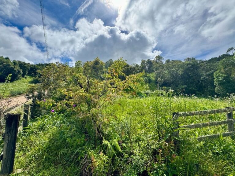Terreno Residencial à Venda | Jardim da Serra | Rancho Queimado | TE0157_MMQ