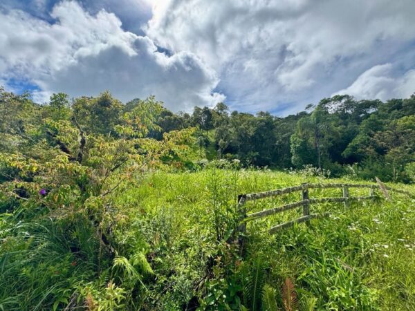 Terreno Residencial à Venda | Jardim da Serra | Rancho Queimado | TE0157_MMQ - Imagem 3