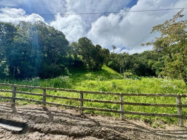 Terreno Residencial à Venda | Jardim da Serra | Rancho Queimado | TE0157_MMQ - Imagem 8