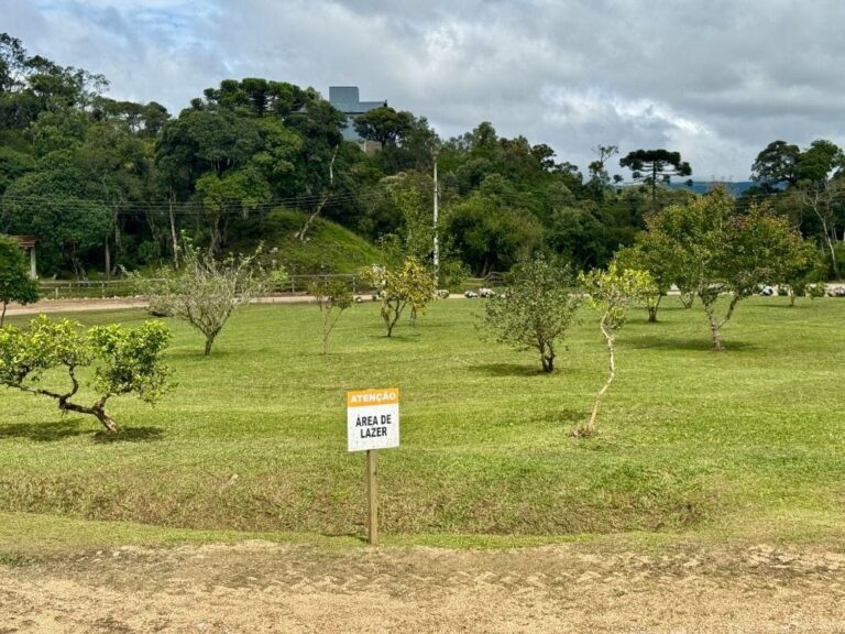 Terreno Residencial à Venda | Jardim da Serra | Rancho Queimado | TE0157_MMQ