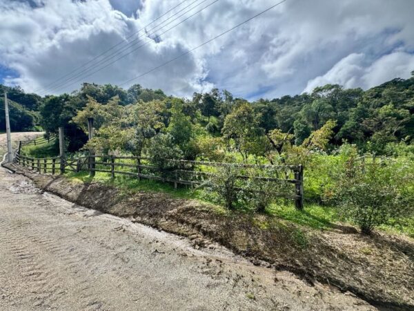 Terreno Residencial à Venda | Jardim da Serra | Rancho Queimado | TE0157_MMQ - Imagem 5