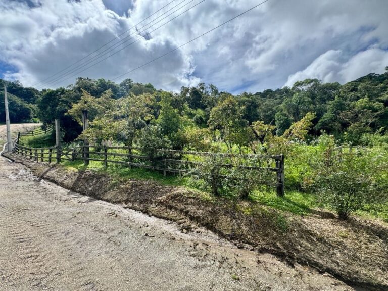 Terreno Residencial à Venda | Jardim da Serra | Rancho Queimado | TE0157_MMQ