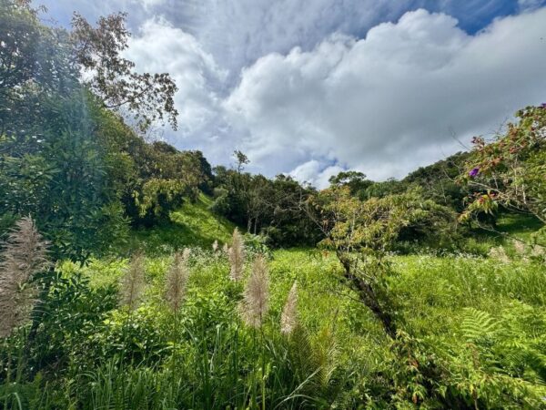 Terreno Residencial à Venda | Jardim da Serra | Rancho Queimado | TE0157_MMQ - Imagem 6