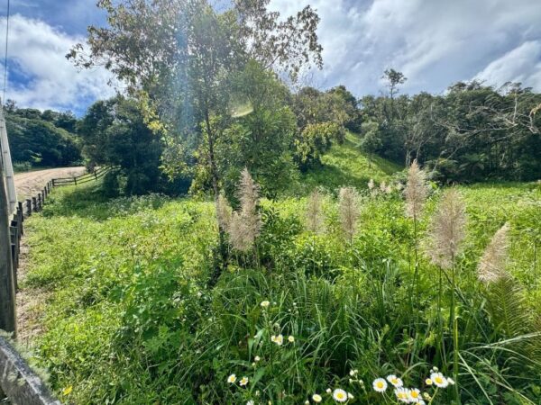 Terreno Residencial à Venda | Jardim da Serra | Rancho Queimado | TE0157_MMQ - Imagem 7