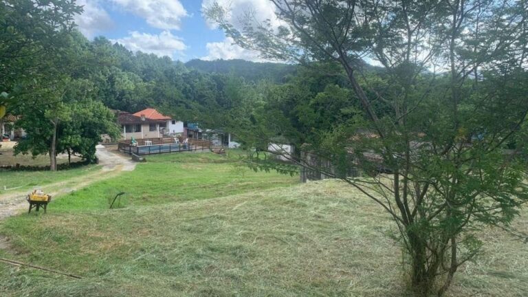 Terreno Residencial à Venda | Ratones | Florianópolis | TE0149_MMQ