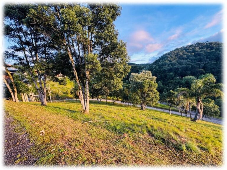 Terreno Residencial à Venda | Villa da Cachoeira | Rancho Queimado | TE0151_MMQ