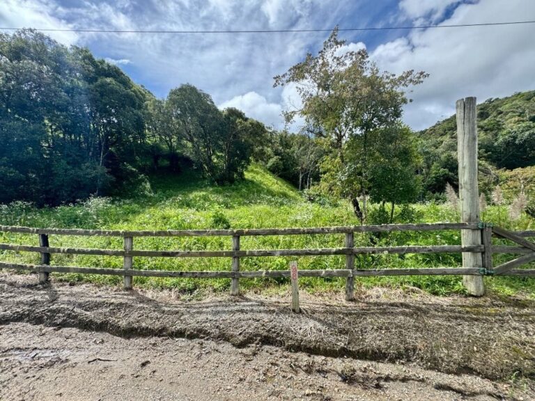 Terreno Residencial à Venda | Jardim da Serra | Rancho Queimado | TE0157_MMQ
