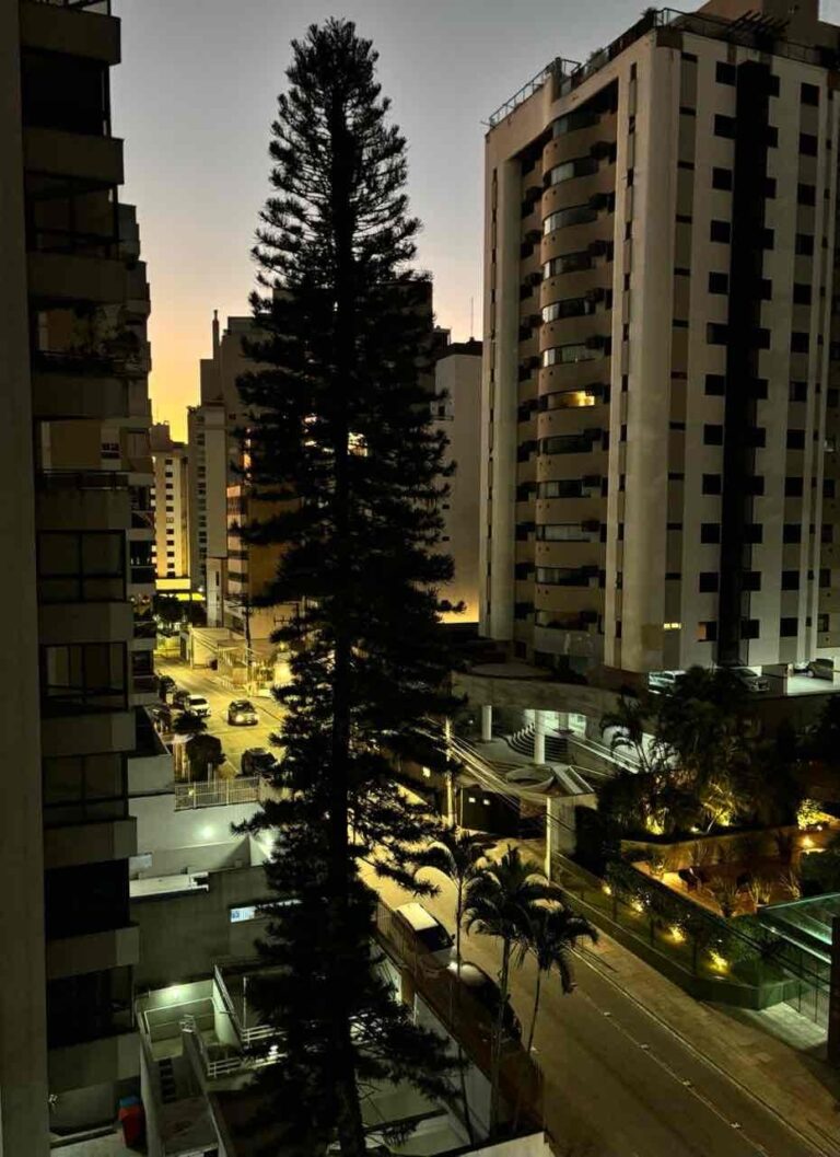 Apartamento Residencial à Venda | Centro | Florianópolis | AP2991_MMQ