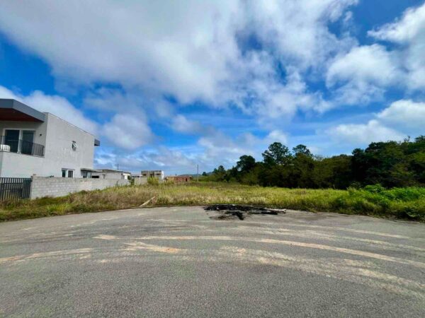 Terreno Residencial à Venda | Ingleses do Rio Vermelho | Florianópolis | TE0160_MMQ - Imagem 2