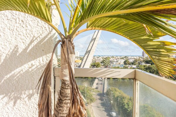 Apartamento Comercial à Venda | Itanhangá | Rio de Janeiro | AP3039_MMQ - Imagem 5