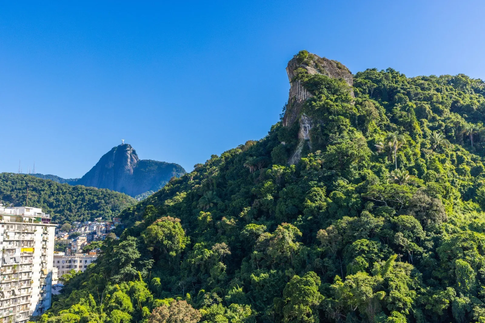 Apartamento Residencial à Venda | Copacabana | Rio de Janeiro | AP3697_MMQ